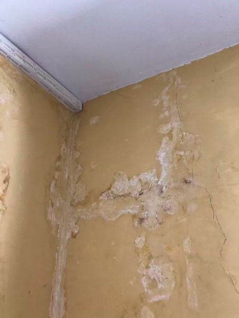 Traitement anti-salpêtre pour murs humide - ANTISALPÊTRE - - 20 L (jusqu à  80m²) - ARCANE INDUSTRIES