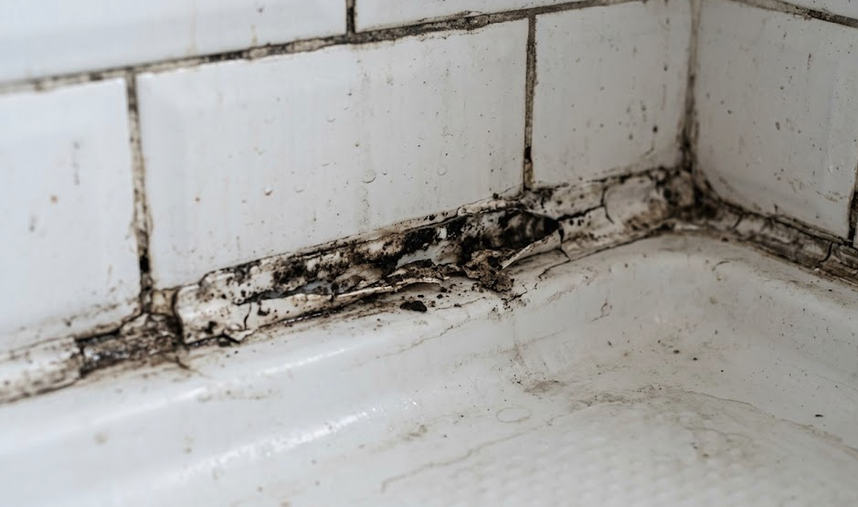 joint silicone douche moisissure